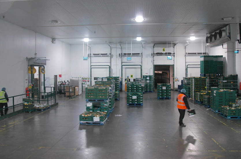 Recessed Industrial Light