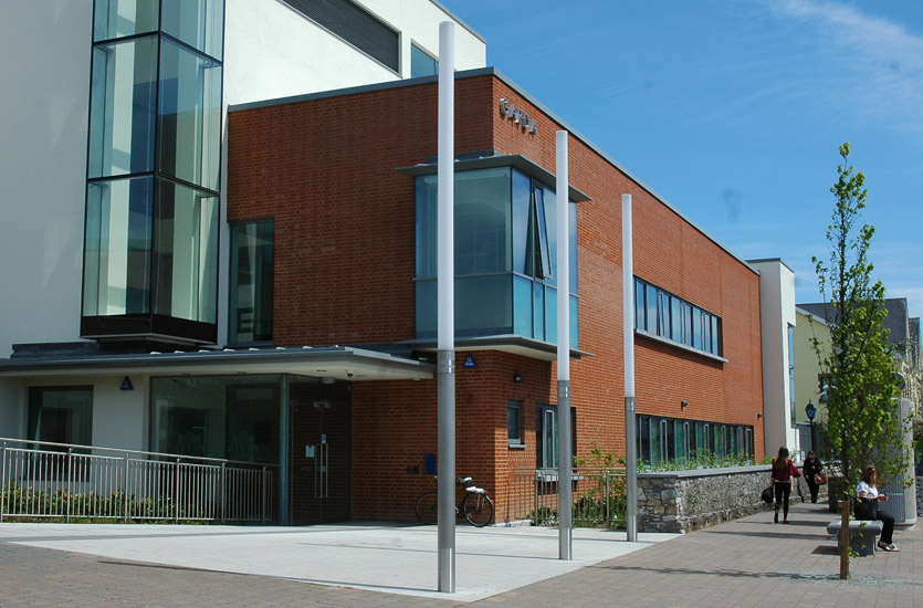 Stainless Steel Street Lights