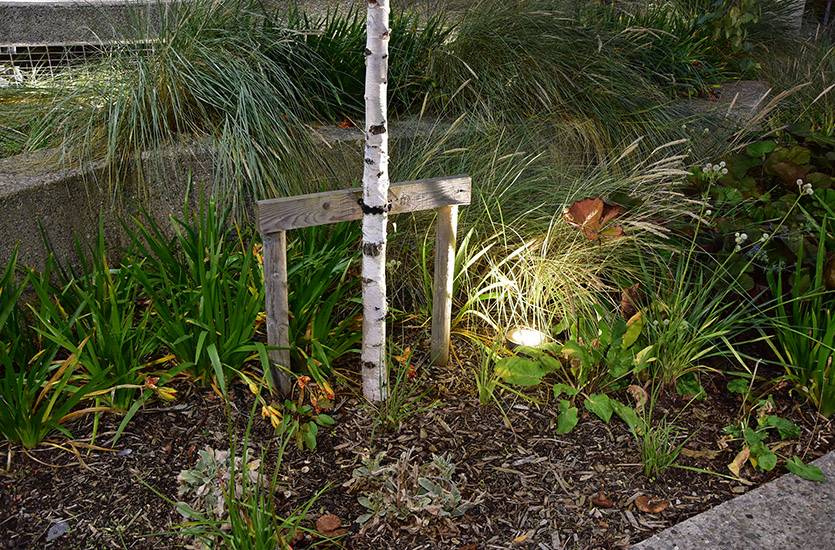 Groundlight at Nightime