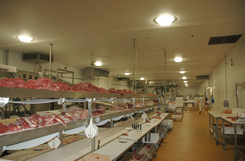 Recessed Lights in Food Processing Room