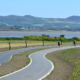 Cycleway Lights