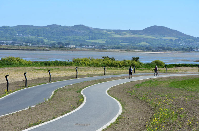 Cycleway Lights