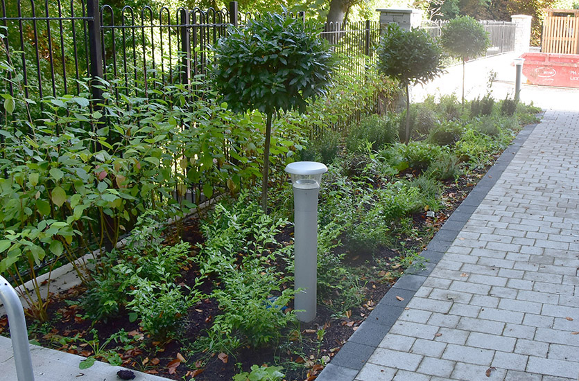 Lighting Bollard in Flowerbed