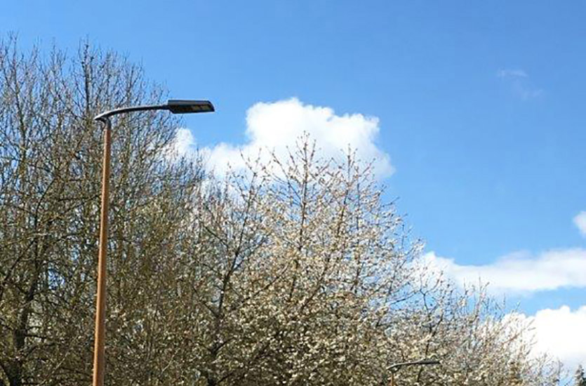 Wooden Pole Effect with Streetlight